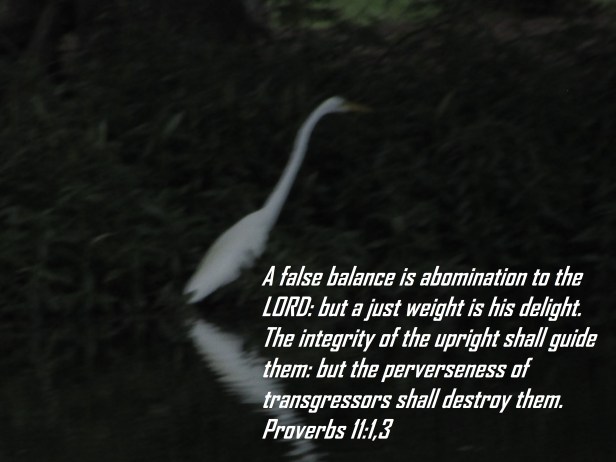 © Photo Artist Susan Ruth Robertson 090025006100 040.JPG