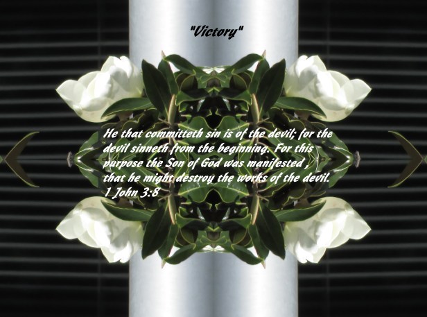 © Photo Artist Susan Ruth Robertson 090025006100 042 - Copy - Copy.JPG