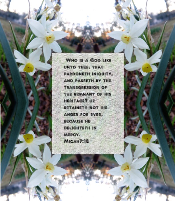 © Photo Artist Susan Ruth Robertson 090025006100 042 - Copy.JPG