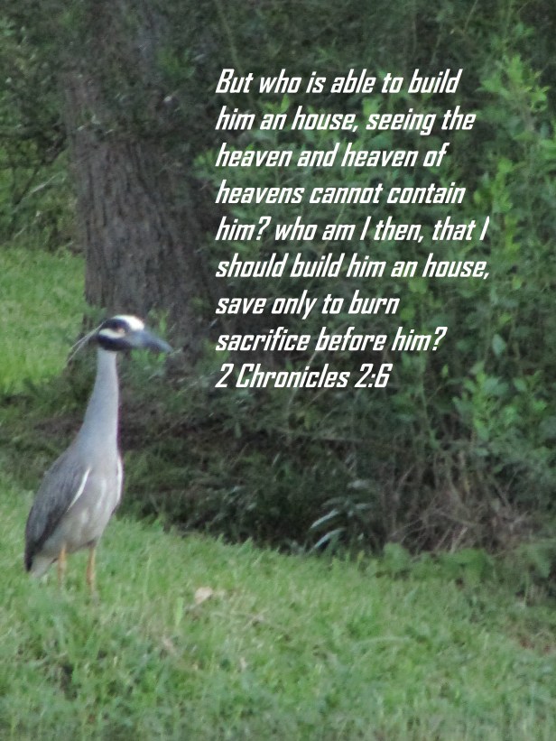 © Photo Artist Susan Ruth Robertson 090025006100 048 - Copy