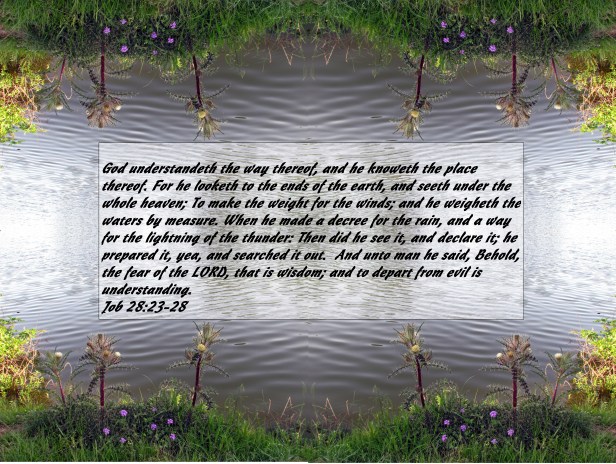 © Photo Artist Susan Ruth Robertson 090025006100 064 - Copy - Copy.JPG