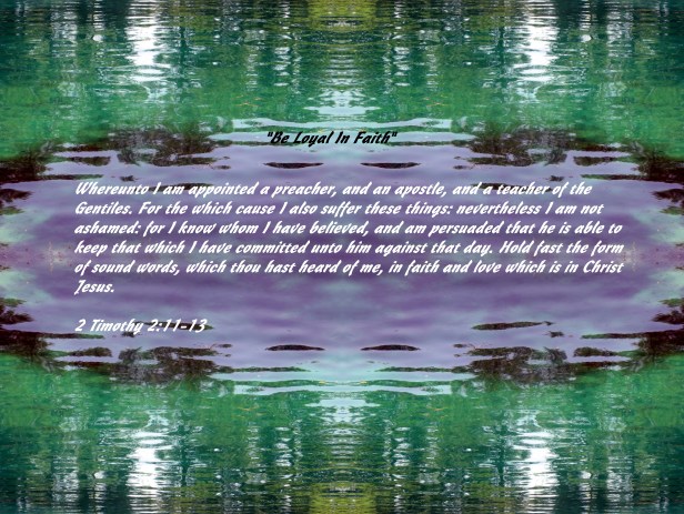 © Photo Artist Susan Ruth Robertson 090025006100 089 - Copy - Copy.JPG