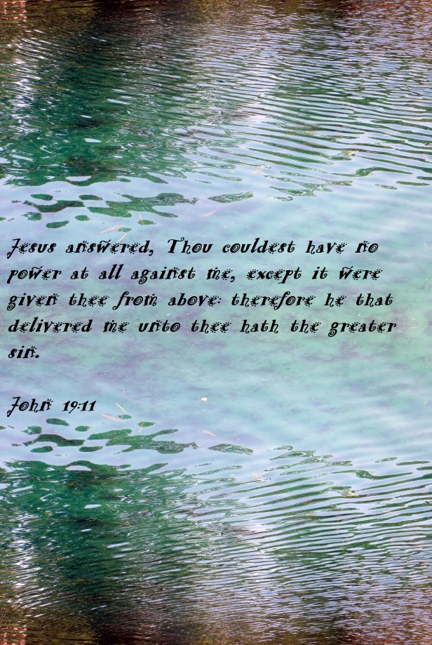 © Photo Artist Susan Ruth Robertson 090025006100 090 - Copy.JPG