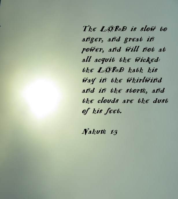 SX400 IS © Photo Artist Susan Ruth Robertson 090025006100 004.JPG