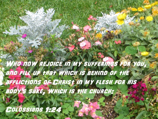 SX400 IS © Photo Artist Susan Ruth Robertson 090025006100 011 - Copy.JPG