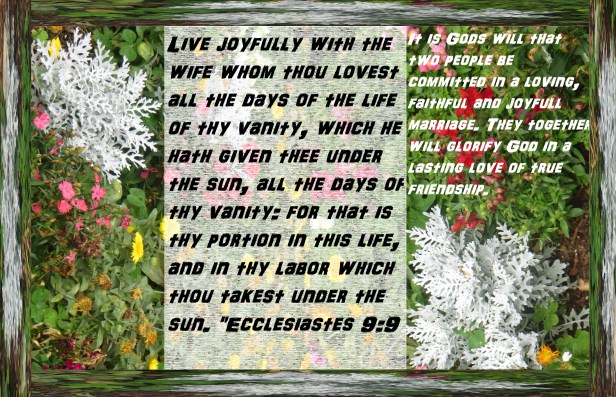 SX400 IS © Photo Artist Susan Ruth Robertson 090025006100 012 - Copy.JPG