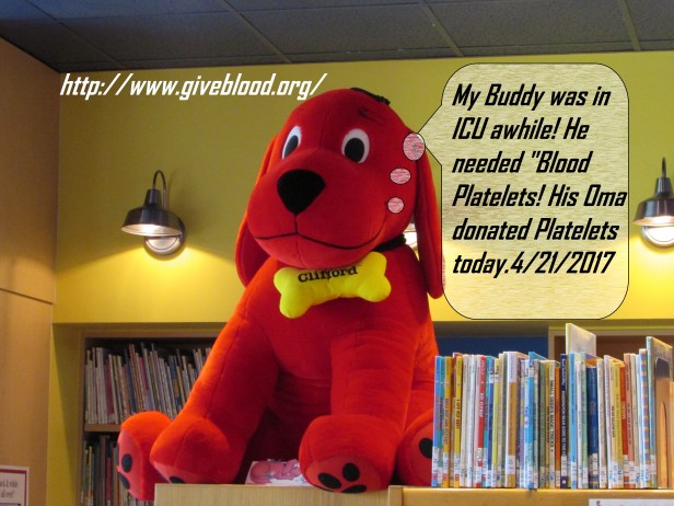 SX400 IS © Photo Artist Susan Ruth Robertson 090025006100 042 - Copy