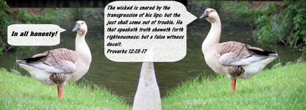 © Photo Artist Susan Ruth Robertson 090-025006100 022 - Copy.JPG