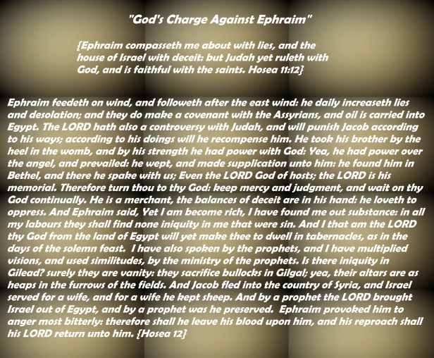 © Photo Artist Susan ruth Robertson 09002500100 024 - Copy - Copy.JPG