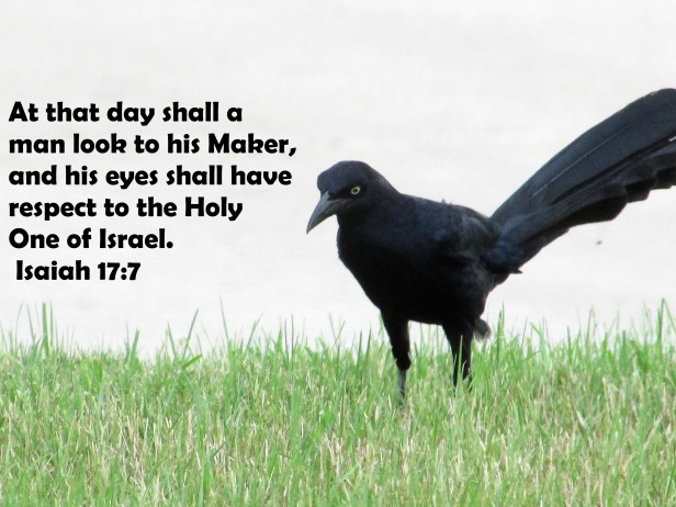 © Photo Artist Susan Ruth Robertson 09002500610 006 - Copy.JPG