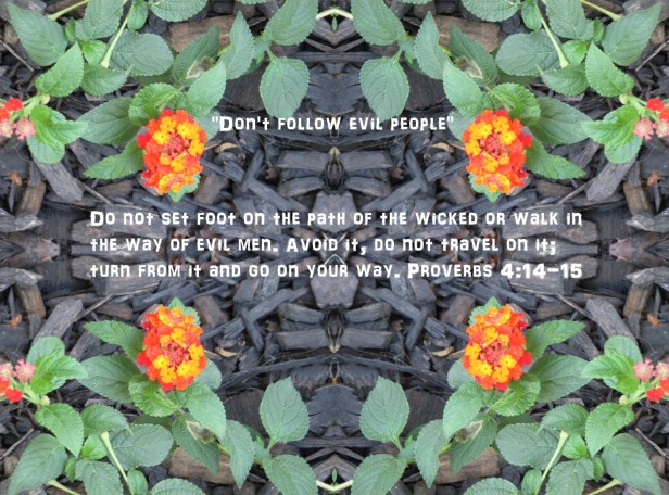 © Photo Artist Susan Ruth Robertson 090025006100 001 - Copy - Copy.JPG