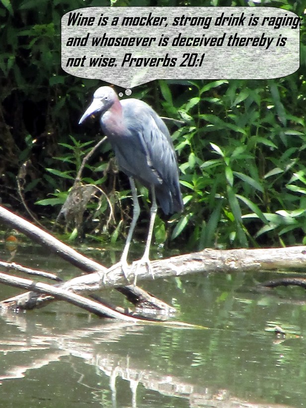 © Photo Artist Susan Ruth Robertson 090025006100 007 - Copy.JPG