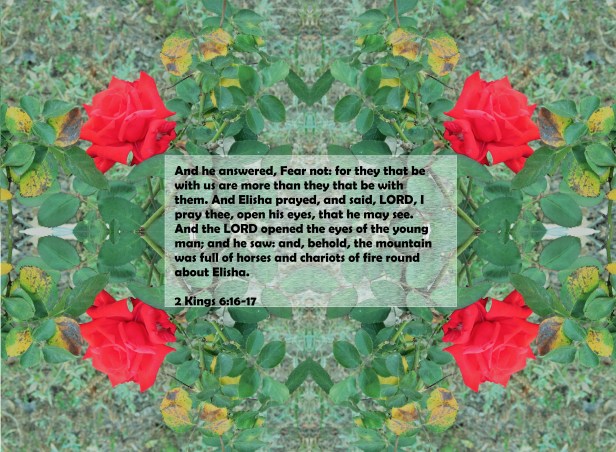 © Photo Artist Susan Ruth Robertson 090025006100 007 - Copy.JPG