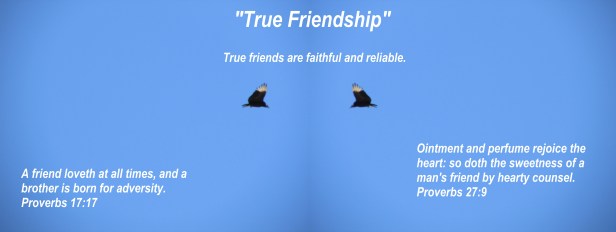 © Photo Artist Susan Ruth Robertson 090025006100 009 - Copy.JPG