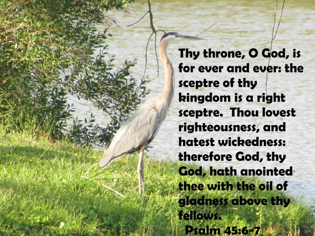 © Photo Artist Susan Ruth Robertson 090025006100 021 - Copy.JPG