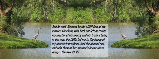 © Photo Artist Susan Ruth Robertson 090025006100 022 - Copy.JPG