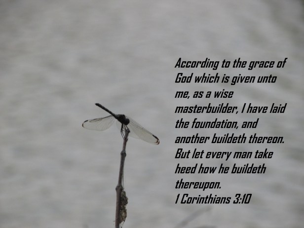 © Photo Artist Susan Ruth Robertson 090025006100 027 - Copy.JPG