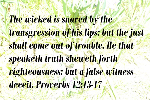 © Photo Artist Susan Ruth Robertson 090025006100 048.JPG