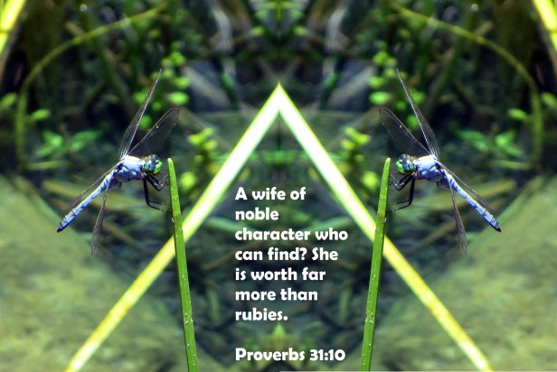 © Photo Artist Susan Ruth Robertson 090025006100 055.JPG