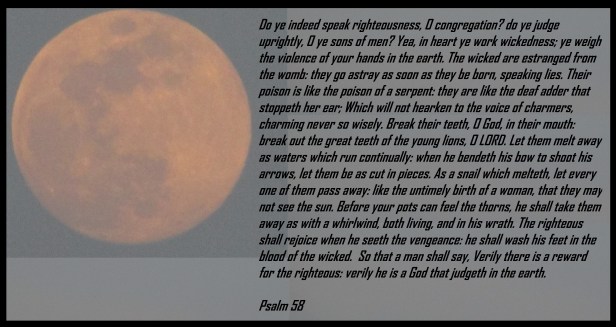 © Photo Artist Susan Ruth Robertson 090025006100 058 - Copy.JPG