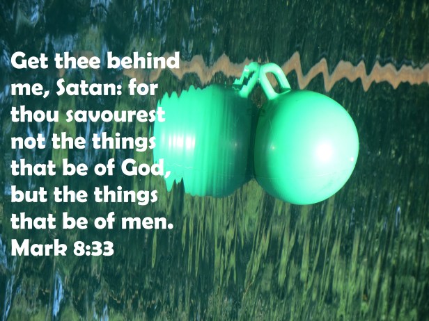 ©Photo Artist Susan Ruth Robertson 090025006100 038.JPG