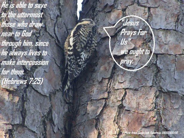 IMG_8028-ANIMATION - Copy.gif