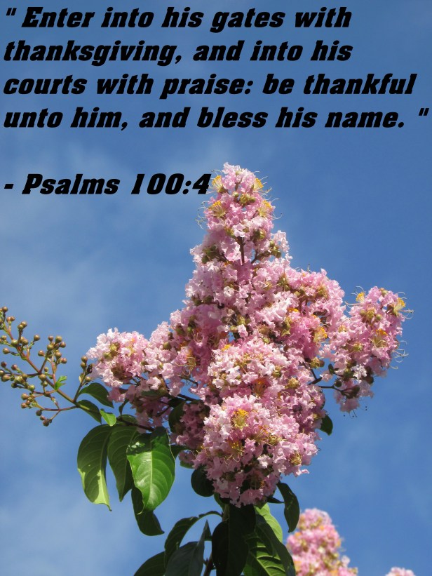 2017-05-23 © Photo Artist Susan Ruth Robertson 090025006100 SX 400 IS 007 - Copy.JPG