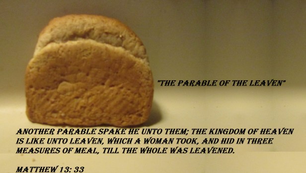 © Photo Artist Susan ruth Robertson 09002500100 002 - Copy.JPG