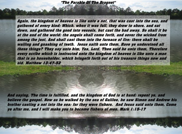 © Photo Artist Susan ruth Robertson 09002500100 005 - Copy.JPG