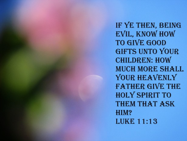 © Photo Artist Susan ruth Robertson 09002500100 009 - Copy.JPG