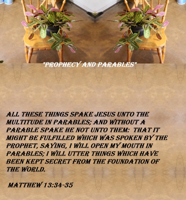 © Photo Artist Susan ruth Robertson 09002500100 013 - Copy.JPG