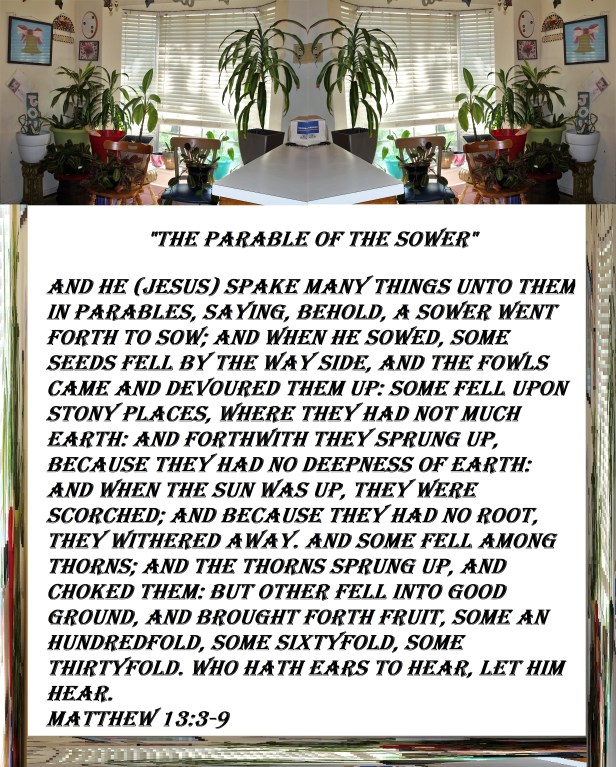 © Photo Artist Susan ruth Robertson 09002500100 020 - Copy.JPG