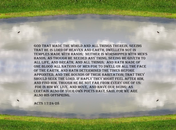 © Photo Artist Susan ruth Robertson 09002500100 026 - Copy - Copy.JPG