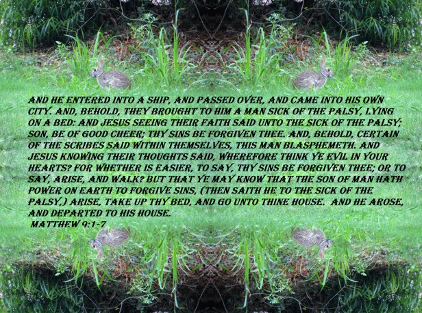 © Photo Artist Susan ruth Robertson 09002500100 (4) - Copy - Copy.JPG