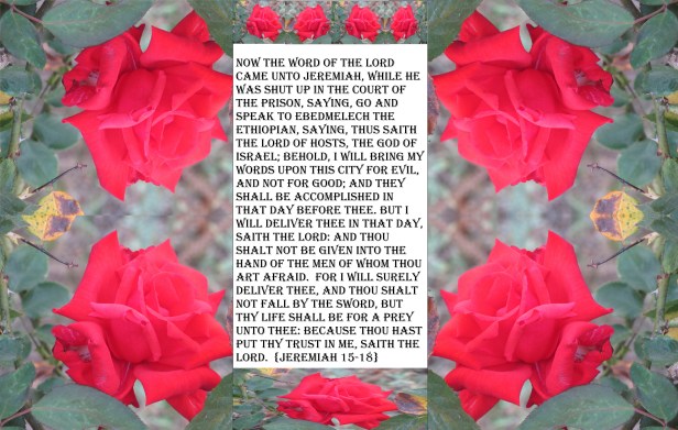 © Photo Artist Susan Ruth Robertson 090025006100 004.JPG