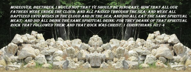 © Photo Artist Susan Ruth Robertson 090025006100 015 - Copy (3).JPG