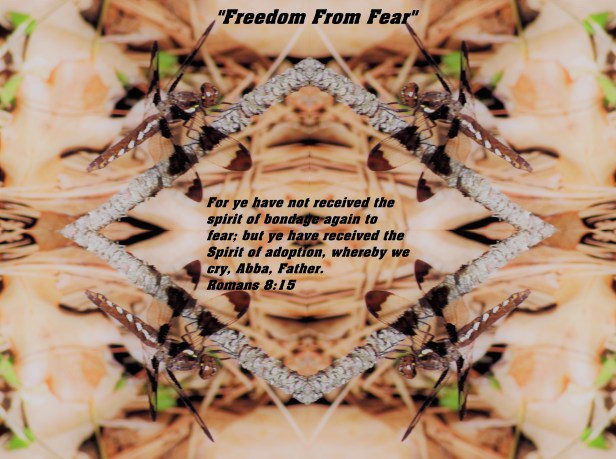 © Photo Artist Susan Ruth Robertson 090025006100 067 - Copy - Copy.JPG