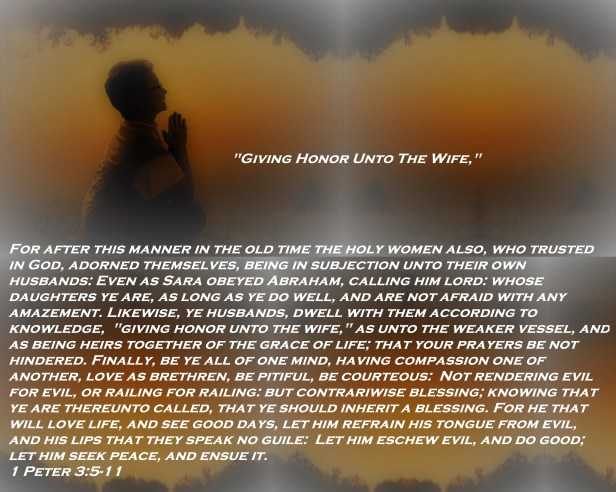 © Photo Artist Susan Ruth Robertson 090025006100   (118) - Copy - Copy.JPG