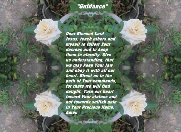 © Photo Artist Susan Ruth Robertson 090025006100 SX 400 IS 030 - Copy - Copy.JPG