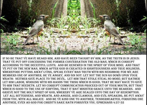 © Photo Artist Susan Ruth Robertson 090025006100 SX 400 IS 044 - Copy.JPG