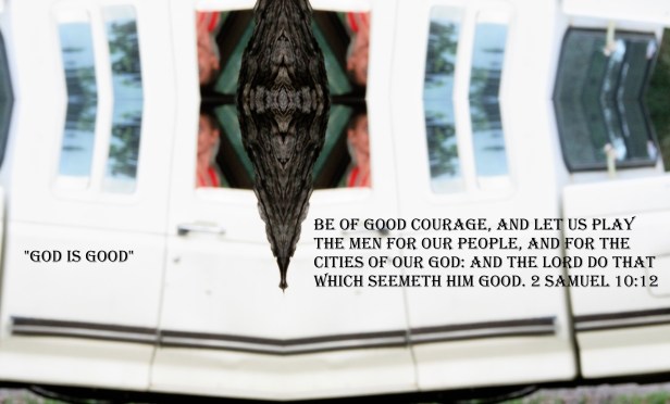 © Photo Artist Susan Ruth Robertson 090025006100 SX 400 IS 081 - Copy.JPG