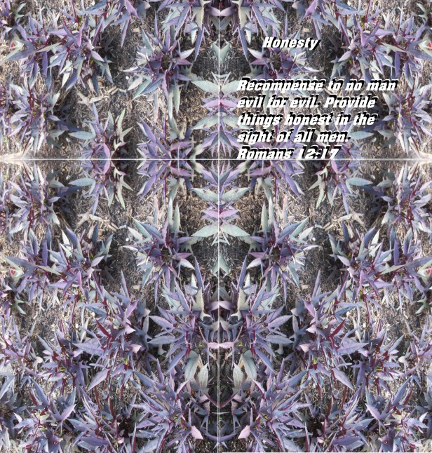 SX400 IS © Photo Artist Susan Ruth Robertson 090025006100 003 - Copy - Copy.JPG