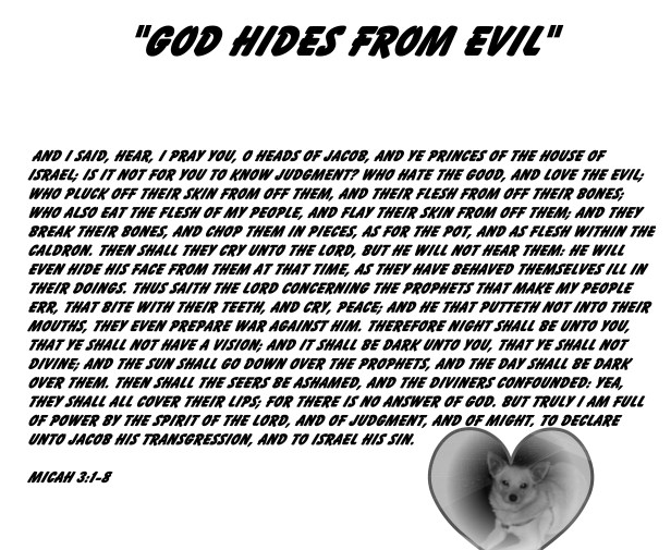 SX400IS © Photo Artist Susan Ruth Robertson 090025006100 008 - Copy.JPG