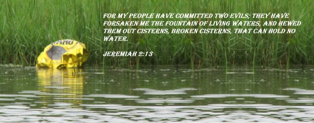 SX400IS  © Photo Artist Susan Ruth Robertson 090025006100 008.JPG