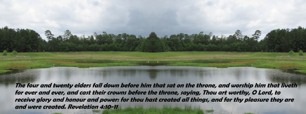 SX400IS  © Photo Artist Susan Ruth Robertson 090025006100 027 - Copy.JPG