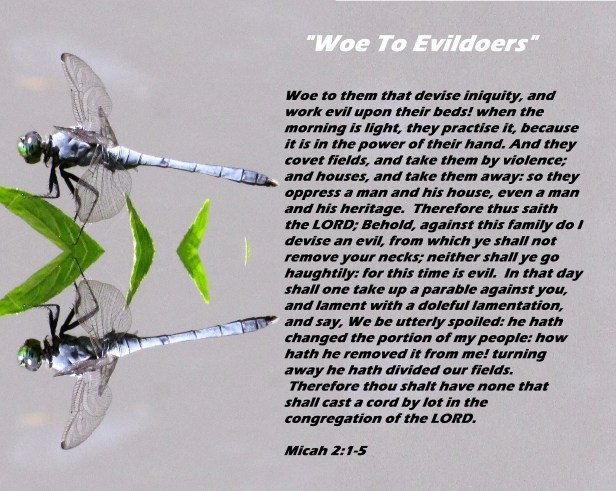 2017-05-23 © Photo Artist Susan Ruth Robertson 090025006100 013 - Copy.JPG