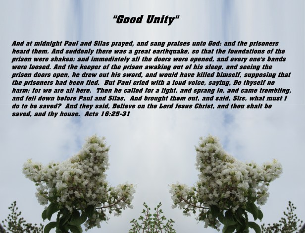 2017-05-23 © Photo Artist Susan Ruth Robertson 090025006100 SX 400 IS 052 - Copy - Copy (2).JPG