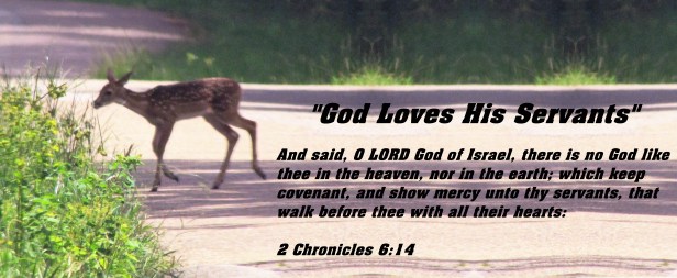 © Photo Artist Susan ruth Robertson 09002500100 004 - Copy - Copy (2).JPG