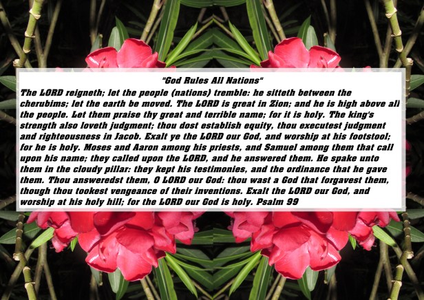 © Photo Artist Susan ruth Robertson 09002500100 015 - Copy - Copy.JPG