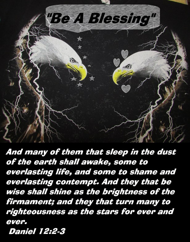 © Photo Artist Susan ruth Robertson 09002500100 032 - Copy.JPG